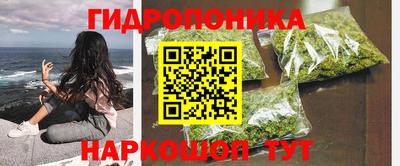 трава Пыть-Ях