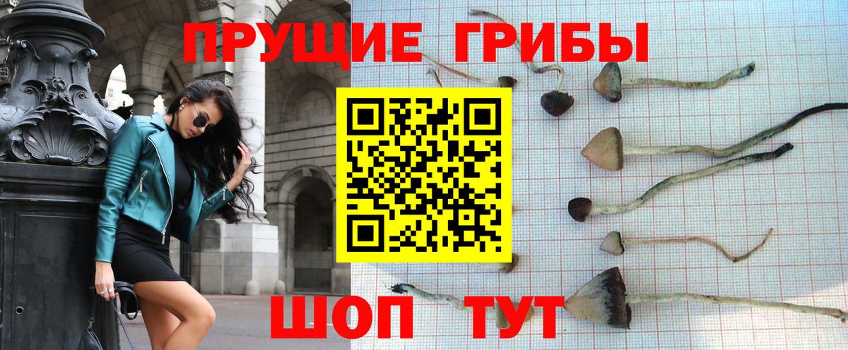 Галлюциногенные грибы Psilocybine cubensis Реж