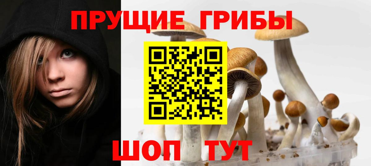 Реж  Псилоцибиновые грибы Psilocybine cubensis  Вход с VPN 